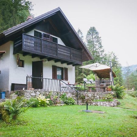 Naturalina Holiday House Gorenja Trebusa Exteriör bild