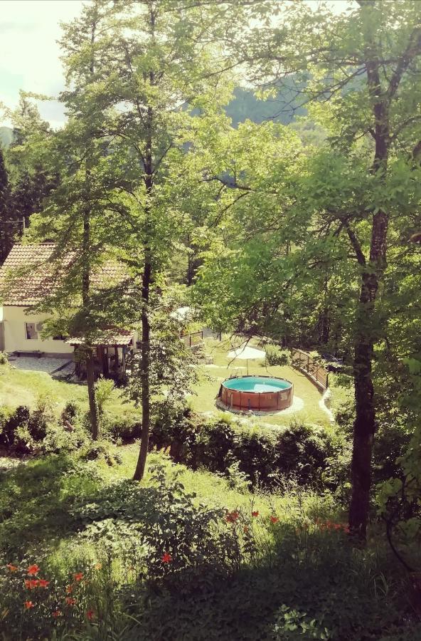 Naturalina Holiday House Gorenja Trebusa Exteriör bild