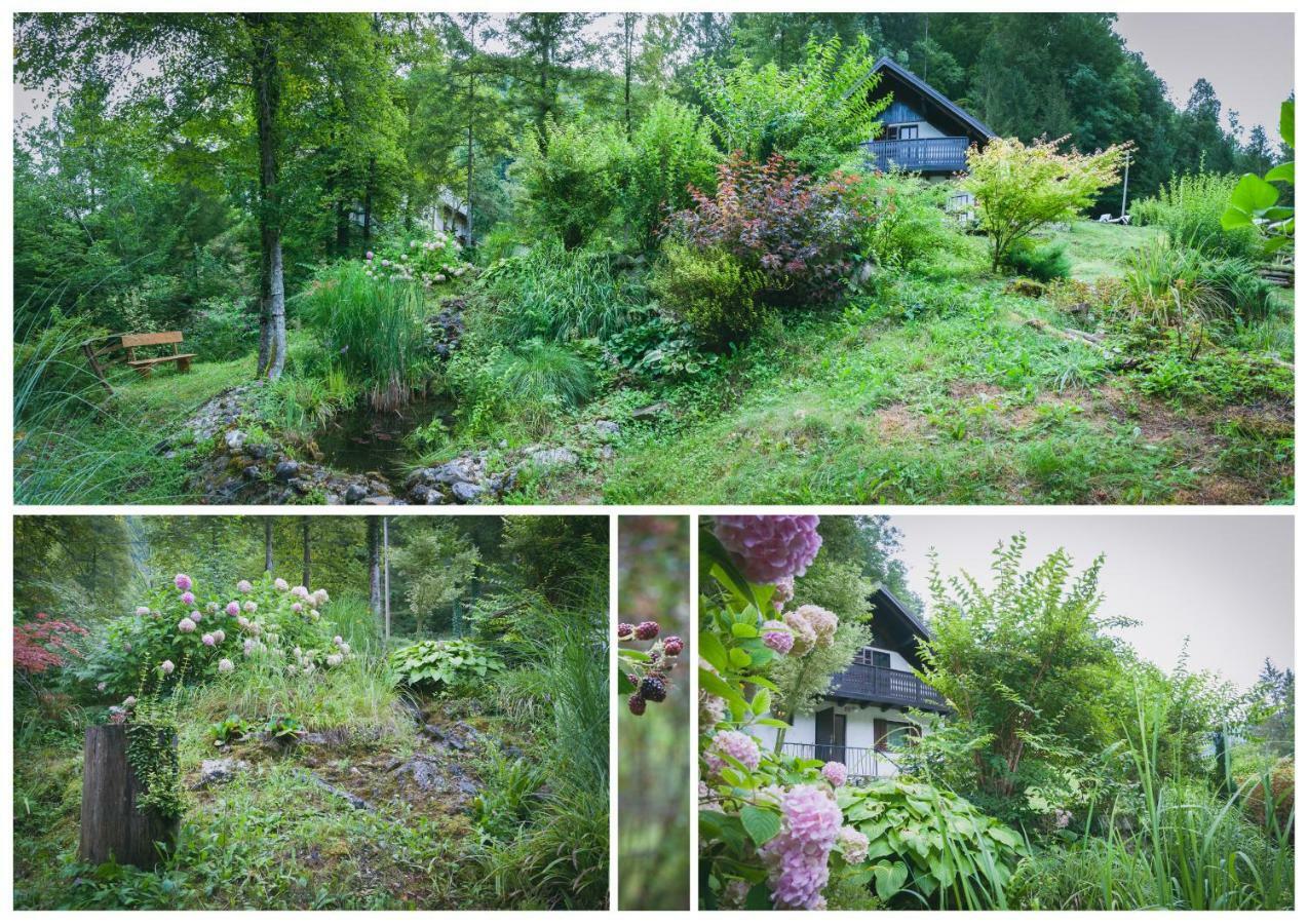 Naturalina Holiday House Gorenja Trebusa Exteriör bild